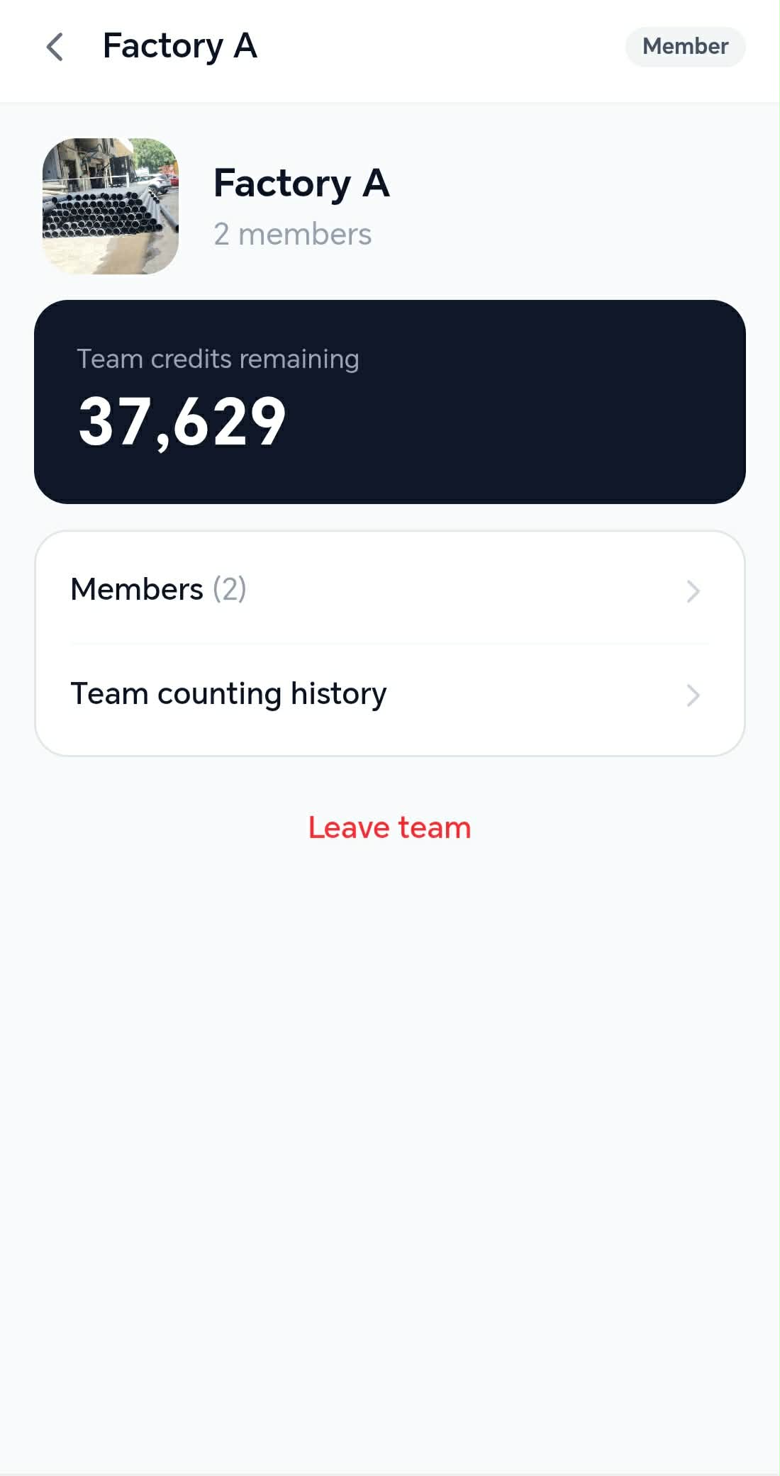 Team detail screen